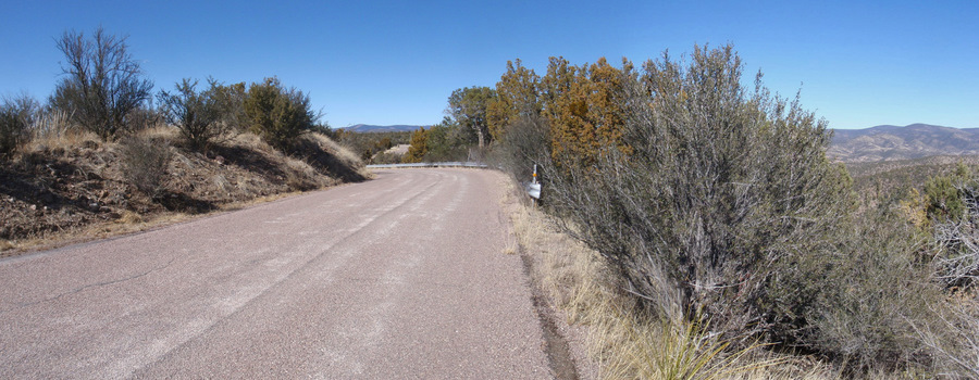 On NM-15 in Gila National Forest.
